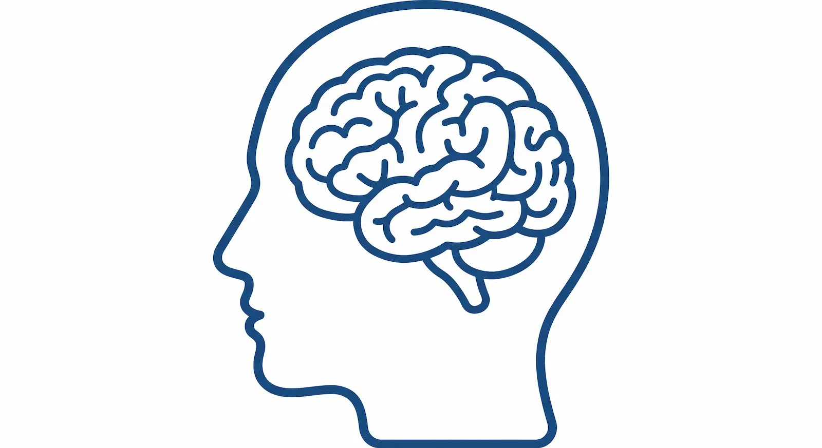 Brain injury support depicted with a simple outline of a human head facing left, with the brain visible.